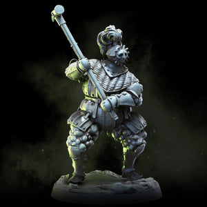 Alchemic Order Knights | The Alchemic Order