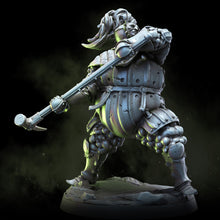 Load image into Gallery viewer, Alchemic Order Knights | The Alchemic Order
