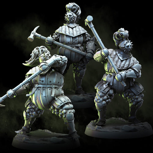 Alchemic Order Knights | The Alchemic Order