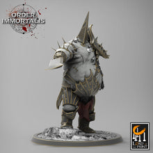 Load image into Gallery viewer, Tormentors - Order Immortalis - Rescale Miniatures - Wargaming D&amp;D DnD
