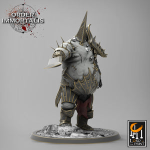 Tormentors - Order Immortalis - Rescale Miniatures - Wargaming D&D DnD