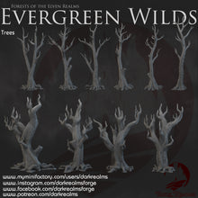 Load image into Gallery viewer, Trees (No Foliage) - Evergreen Wilds - Dark Realms Terrain Wargaming D&amp;D DnD