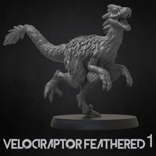 Velociraptor With Feathers - Dinosaurs Set 4 - 3D IP Studios - Terrain Wargaming D&D DnD 28mm 32mm 40mm 54mm 75mm 100mm