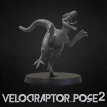 Load image into Gallery viewer, Velociraptor With No Feathers - Dinosaurs Set 4 - 3D IP Studios - Terrain Wargaming D&amp;D DnD 28mm 32mm 40mm 54mm 75mm 100mm 125mm