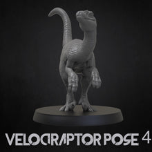 Load image into Gallery viewer, Velociraptor With No Feathers - Dinosaurs Set 4 - 3D IP Studios - Terrain Wargaming D&amp;D DnD 28mm 32mm 40mm 54mm 75mm 100mm 125mm