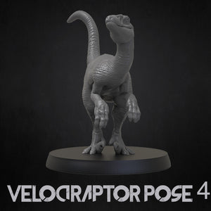 Velociraptor With No Feathers - Dinosaurs Set 4 - 3D IP Studios - Terrain Wargaming D&D DnD 28mm 32mm 40mm 54mm 75mm 100mm 125mm