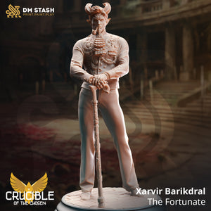 Xarvir Barikdral The Fortunate - Adventure Continues - DM Stash - Wargaming D&D DnD, 28mm, 32mm, 40mm, 54mm, 75mm, 100mm, 125mm