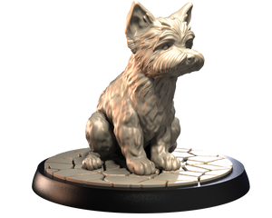 Yorkshire Terrier - Dogs Vol 1 - 3D IP Studios - Terrain Wargaming D&D DnD 28mm 32mm 40mm 54mm 75mm 100mm 125mm