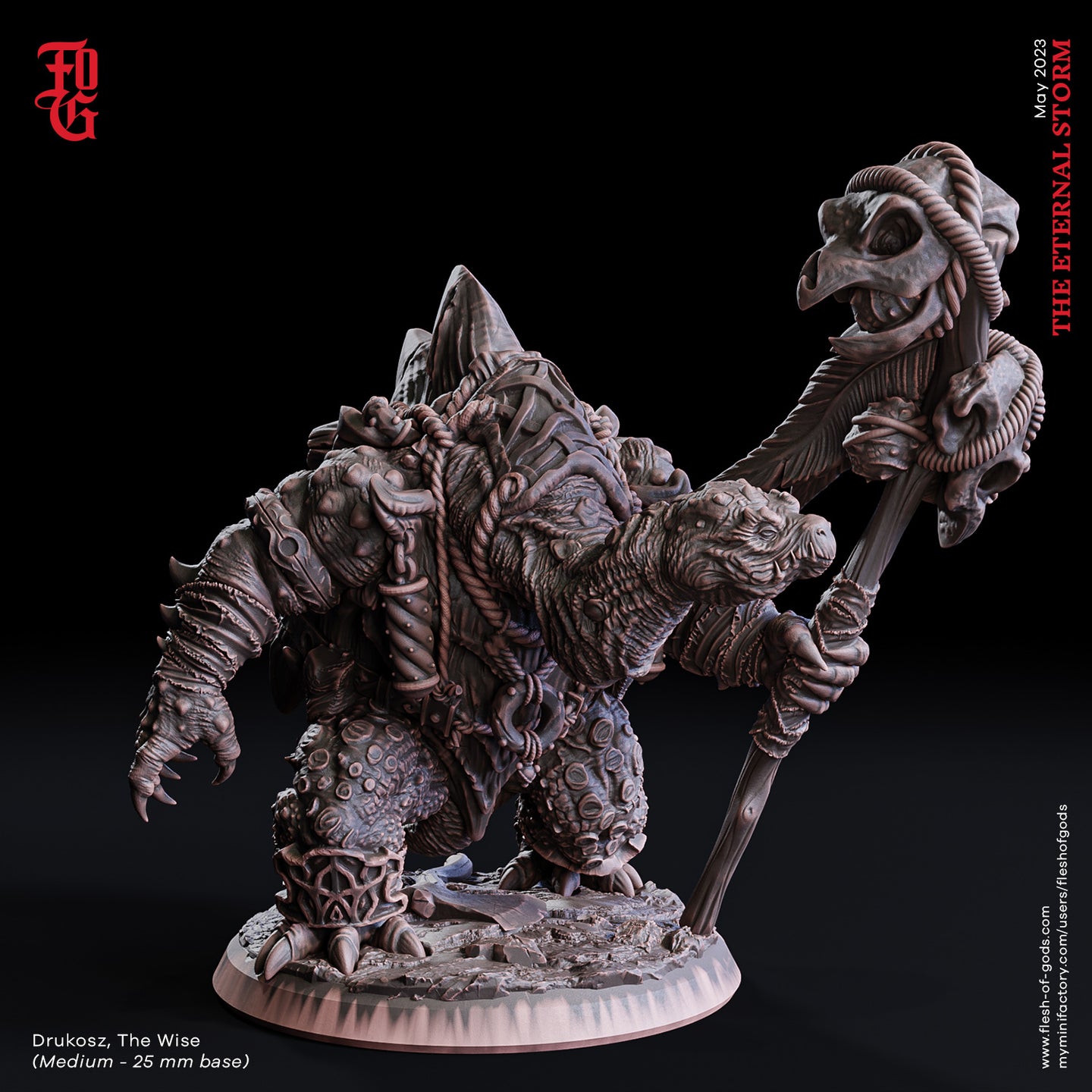 Drukosz, The Wise (Tortle Druid) - The Eternal Storm - Flesh of Gods - Wargaming D&D DnD