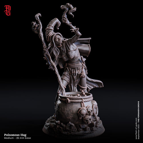 Poisonous Hag - The Forsaken Grove - Flesh of Gods - Wargaming D&D DnD
