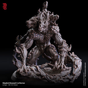 Shadowbound Cerberus - The Shadow Conclave - Flesh of the Gods - Wargaming D&D DnD
