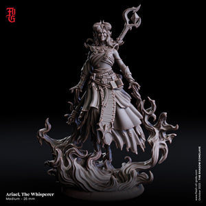 Ariael, the Whisperer Tiefling Sorceress - The Shadow Conclave - Flesh of the Gods - Wargaming D&D DnD