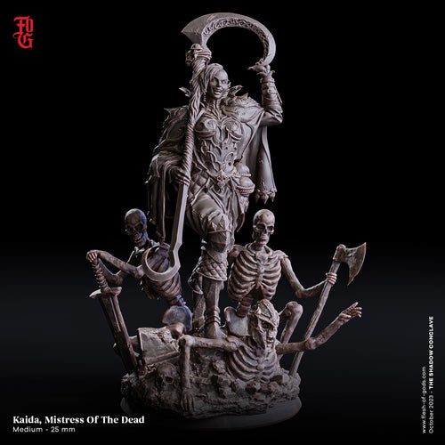 Kaida, Mistress Of The Dead Drow Warlock - The Shadow Conclave - Flesh of the Gods - Wargaming D&D DnD