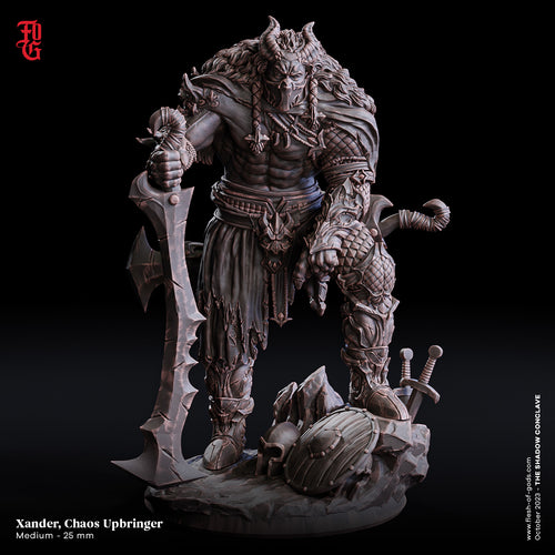 Xander, Chaos Upbringer Half-Demon Fighter - The Shadow Conclave - Flesh of the Gods - Wargaming D&D DnD