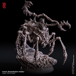 Lirael, Moonshadow Drider  - The Nightfall Cult - Flesh of the Gods - Wargaming D&D DnD
