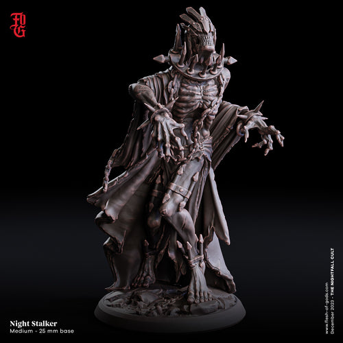 Night Stalker  - The Nightfall Cult - Flesh of the Gods - Wargaming D&D DnD