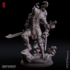 Umbral Sentinel 01 - The Nightfall Cult - Flesh of the Gods - Wargaming D&D DnD