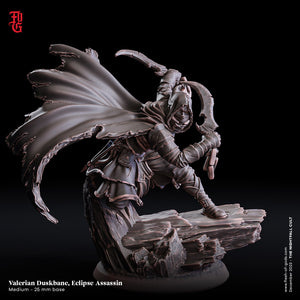 Valerian Duskbane, Eclipse Assassin - The Nightfall Cult - Flesh of the Gods - Wargaming D&D DnD