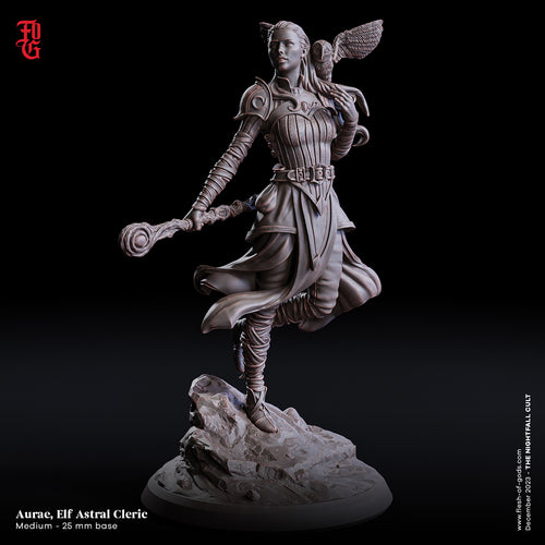 Aurae, Elf Astral Cleric - The Nightfall Cult - Flesh of the Gods - Wargaming D&D DnD