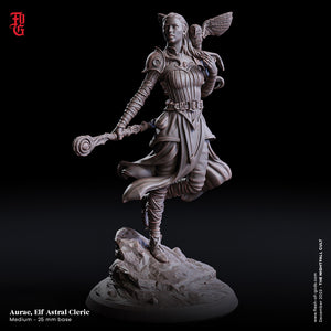Aurae, Elf Astral Cleric - The Nightfall Cult - Flesh of the Gods - Wargaming D&D DnD