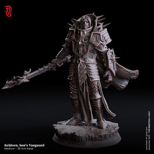 Keldorn, Sun's Vanguard - The Nightfall Cult - Flesh of the Gods - Wargaming D&D DnD