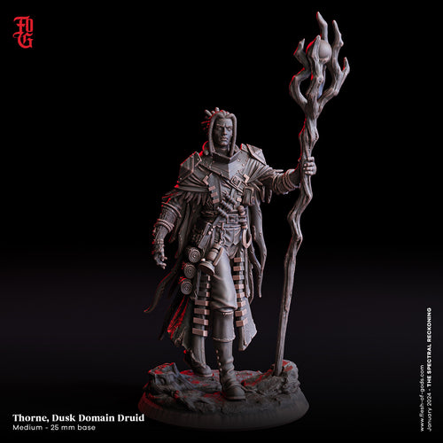Thorne, Dusk Domain Druid (Dark Elf Druid) - The Spectral Reckoning PT 1 - Flesh of the Gods - Wargaming D&D DnD
