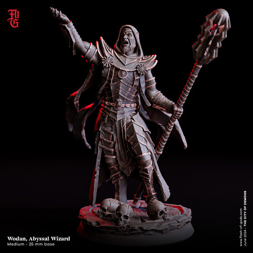 Wodan, Abyssal Wizard - The City of Demons - Flesh of the Gods - Wargaming D&D DnD