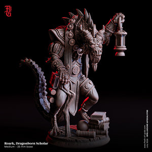 Roark, Dragonborn Scholar - Spellbound Apocalypse - Flesh of the Gods - Wargaming D&D DnD