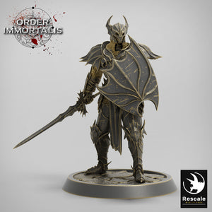 Blood Knight Sword Squadron - Order Immortalis - Rescale Miniatures - Wargaming D&D DnD