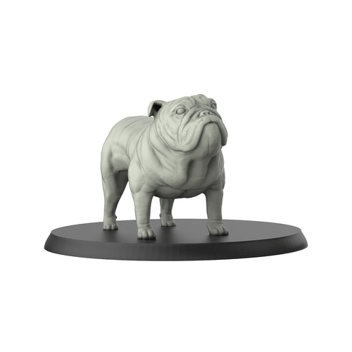 Bull Dog - Dogs - 3D IP Studios - Terrain Wargaming D&D DnD 28mm 32mm 40mm 54mm 75mm 100mm 125mm