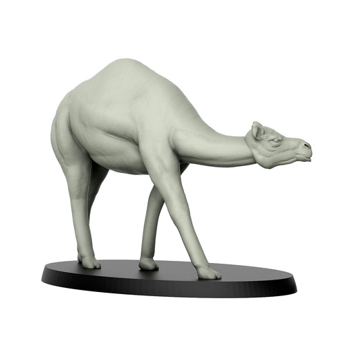 Camel Pose 2 - Wild Animals - 3D IP Studios - Terrain Wargaming D&D DnD 28mm 32mm 40mm 54mm 75mm 100mm 125mm