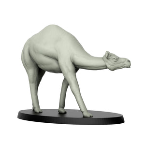 Camel Pose 2 - Wild Animals - 3D IP Studios - Terrain Wargaming D&D DnD 28mm 32mm 40mm 54mm 75mm 100mm 125mm