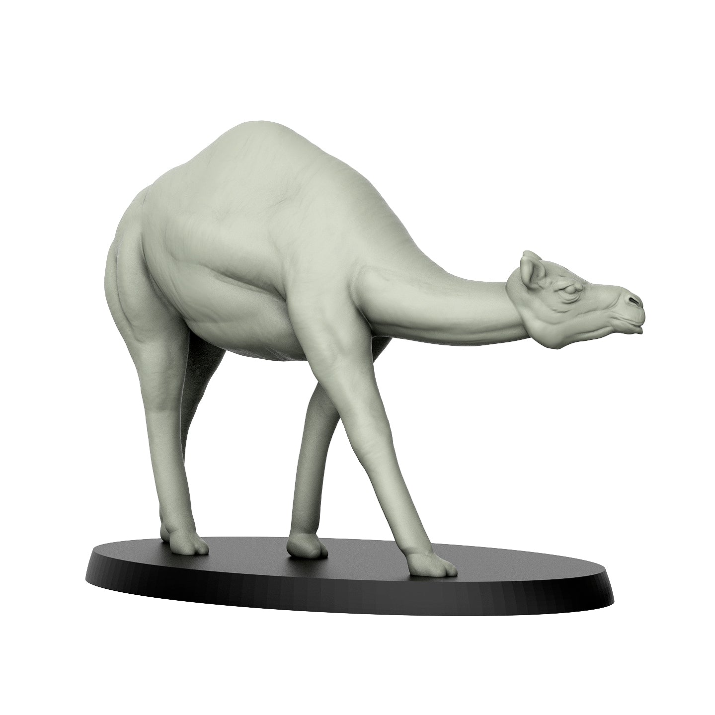 Camel Pose 2 - Wild Animals - 3D IP Studios - Terrain Wargaming D&D DnD 28mm 32mm 40mm 54mm 75mm 100mm 125mm