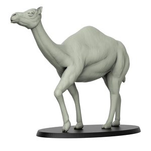 Camel - Wild Animals - 3D IP Studios - Terrain Wargaming D&D DnD 28mm 32mm 40mm 54mm 75mm 100mm 125mm