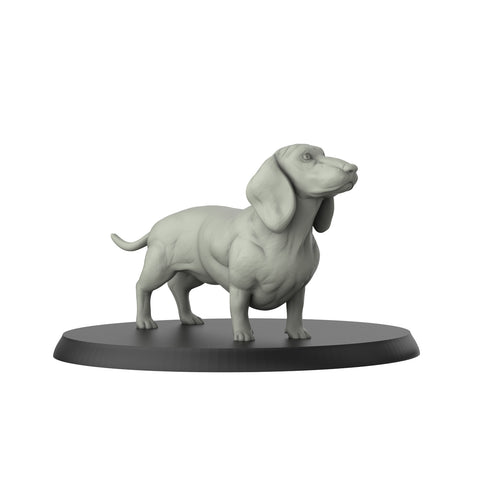 Dachshund - Dogs - 3D IP Studios - Terrain Wargaming D&D DnD 28mm 32mm 40mm 54mm 75mm 100mm 125mm