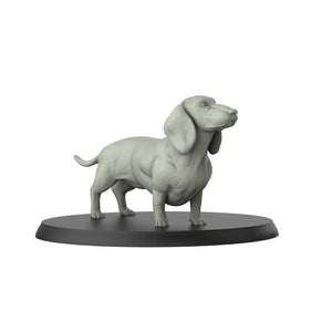 Dachshund - Dogs - 3D IP Studios - Terrain Wargaming D&D DnD 28mm 32mm 40mm 54mm 75mm 100mm 125mm