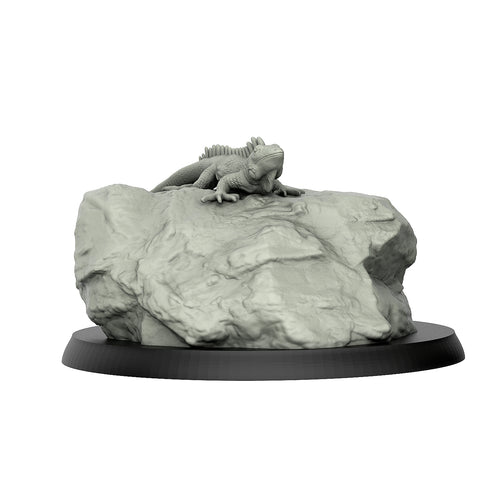 Iguana With Rock - Reptiles - 3D IP Studios - Terrain Wargaming D&D DnD 28mm 32mm 40mm 54mm 75mm 100mm 125mm