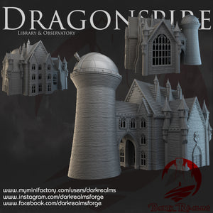 Library - Dragonspire - Dark Realms Terrain Wargaming D&D DnD