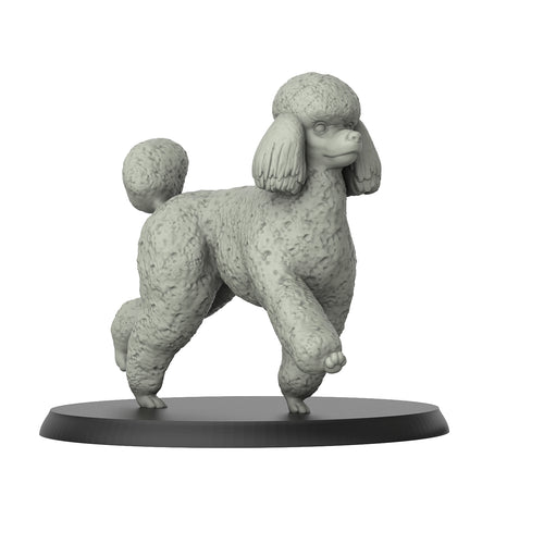 Poodle - Dogs - 3D IP Studios - Terrain Wargaming D&D DnD 28mm 32mm 40mm 54mm 75mm 100mm 125mm
