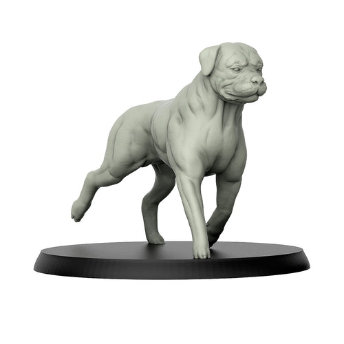 Rottweiler Pose 2 - Dogs - 3D IP Studios - Terrain Wargaming D&D DnD 28mm 32mm 40mm 54mm 75mm 100mm 125mm