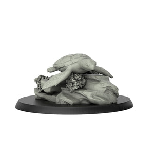 Sea Turtle With Rock - Reptiles - 3D IP Studios - Terrain Wargaming D&D DnD 28mm 32mm 40mm 54mm 75mm 100mm 125mm