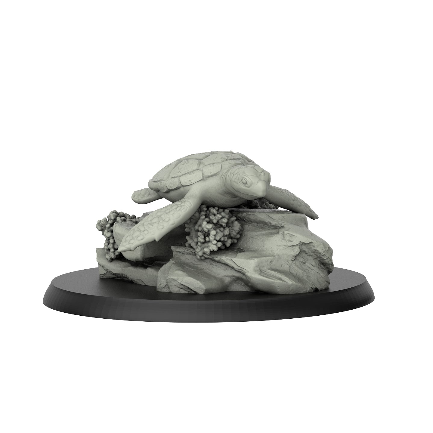 Sea Turtle With Rock - Reptiles - 3D IP Studios - Terrain Wargaming D&D DnD 28mm 32mm 40mm 54mm 75mm 100mm 125mm