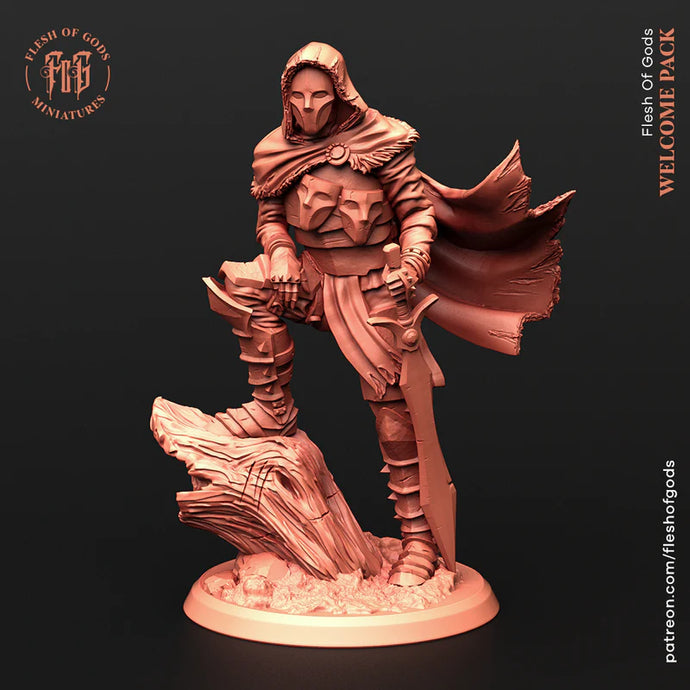 High Order Assassin - Welcome Pack - Flesh of Gods Wargaming D&D DnD