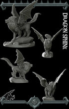 Load image into Gallery viewer, Dragon Sphinx - Rocket Pig Wargaming D&amp;D DnD