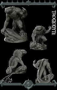 Troglodyte - Rocket Pig Wargaming D&D DnD