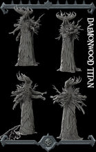 Load image into Gallery viewer, Daemonwood Titan - Rocket Pig Games Wargaming DnD D&amp;D