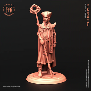 High Order Official - Welcome Pack - Flesh of Gods Wargaming D&D DnD