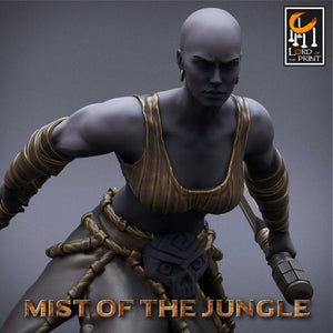 Amazon Heavy Soldier With Dagger - Run - Mist of the Jungle - Lord of the Print - Wargaming D&D DnD