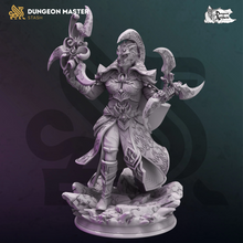 Load image into Gallery viewer, Aulten Dros, High Elf Eldritch Knight - Masters of the Arcane - DM Stash - Wargaming D&amp;D DnD