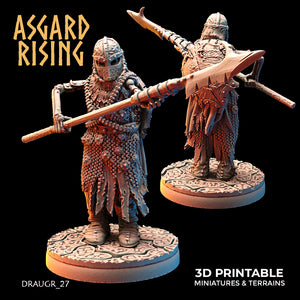 Draugr Phalanx 27 - Asgard Rising - Wargaming D&D DnD
